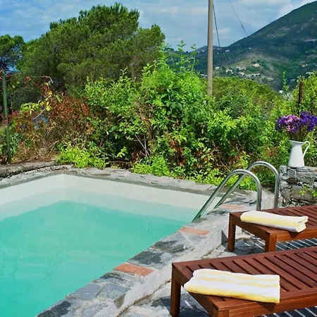Mesco Villa *