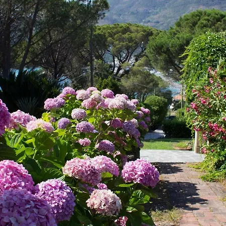 Mesco * Levanto