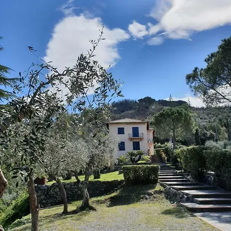 Mesco Levanto